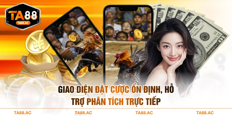 Giao diện đặt cược ổn định, hỗ trợ phân tích trực tiếp