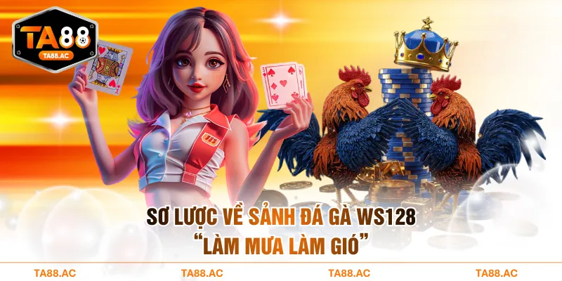 Sơ lược về sảnh đá gà WS128 “làm mưa làm gió”